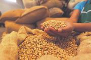 El café boliviano ya no vende solo granos, también crea negocios y genera empleos