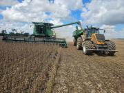 ANAPO plantea la ruta de reactivación: El agro puede ser la principal fuente de divisas que Bolivia necesita