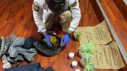 La Felcn confiscó y destruyó más de ocho kilos de potente droga alucinógena en La Paz