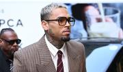Chris Brown deberá pagar 13 millones de dólares por el ataque de uno de sus perros a una empleada doméstica