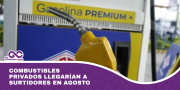 Combustibles privados llegarían a surtidores en agosto