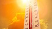 Ascienden a 90 los muertos por ahogamiento durante la ola de calor en Francia