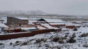 Intensa nevada golpea a 12 comunidades de Potosí y afecta al ganado