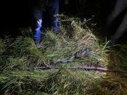 Investigan la muerte de un joven tras un presunto caso de abigeato en San Ignacio de Sara