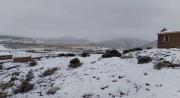 Reportan que las nevadas ponen en riesgo la alimentación del ganado en 12 comunidades de Potosí