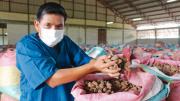 De emprender a exportar: la ruta para llevar un producto boliviano al mercado internacional