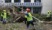 Fuertes tormentas y vientos dejan 10 fallecidos en China