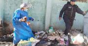Bloqueos en El Alto: “Sí, se trataba de carne de perro”, señala la Alcaldía tras recibir resultados de laboratorio