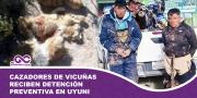 Cazadores de vicuñas reciben detención preventiva en Uyuni