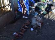 Confirman que los cráneos encontrados en El Alto son de perros; su carne habría sido vendida durante los bloqueos