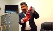 Proponen regular el consumo de carne de burro por su alto valor nutricional