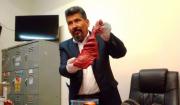 Proponen normar el comercio de la carne de burro en Bolivia