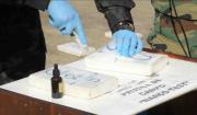 Cinco operativos afectan al narcotráfico en $us 1,7 millones en una semana