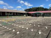 Cinco operativos antidroga golpean al narcotráfico con pérdidas de $us 1,7 millones