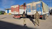 Contrabandistas de aceite en Potosí huyen tras decomiso de sus camiones