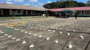 Cinco operativos antidroga causan una afectación de $us 1,7 millones al narcotráfico