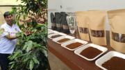 UPEA lanza un café 100% orgánico y cultivado en Caranavi