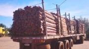 Empresarios piden celeridad en la investigación por cargamentos de madera a Chile y Brasil