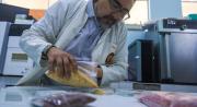 La quinua real de Bolivia tiene más fibra y minerales, según un estudio reciente