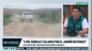 ¡Daño medioambiental! Alcaldía cruceña denuncia la tala de cerca de 5.000 árboles