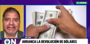 ¿Qué hacer con los dólares que va a devolver el banco? Un economista responde