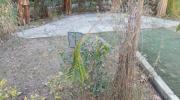 Denuncian que el Jardín Botánico de La Paz está sin agua y varias especies corren riesgo