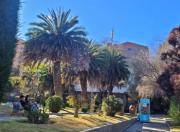 Deuda de Bs 3,3 millones con EPSAS deja sin agua al Jardín Botánico; recurren a cisternas para el riego