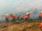 Presidente Paz pide investigar el origen de los incendios ante indicios de focos provocados 