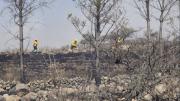 En menos de 24 horas, los focos de calor suben de 867 a 1.705