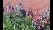 La maestra que decidió volver a la tierra… y terminó sembrando una lección para toda Bolivia