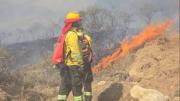 Senadora propone hasta más de 30 años de cárcel para responsables de incendios forestales