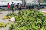 Productores del trópico denuncian alza del 50% en insumos y advierten que la falta de diésel pone en riesgo la campaña agrícola