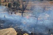 Tarija está en emergencia por incendios forestales que dañan unas 5.000 hectáreas