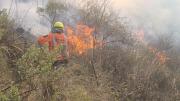 Justiniano asegura que los incendios en Tarija están controlados, pero no extinguidos