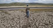 Reforestación, cosecha de agua, entre otros; experto plantea cuatro medidas ante la sequía