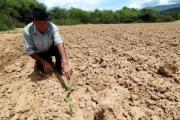 El cambio climático se acelera y provoca sequías más frecuentes y dramáticas en Bolivia