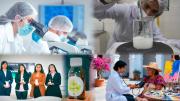 De productos naturales a prototipos tecnológicos: investigación universitaria apunta a resolver problemas reales