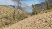 Incendios dejaron sin alimento al ganado, productores piden ayuda