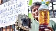 Informe concluye ausencia total de control de calidad sobre gasolina basura; apuntan a cinco exautoridades