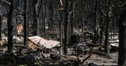 El incendio de Ávila ha quemado 50.000 hectáreas, el mayor fuego de la historia de España