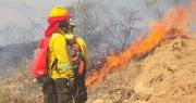 ¿Qué tan preparada está Bolivia para enfrentar los incendios forestales?