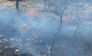 Cochabamba: Controlan tres incendios forestales en Vacas y Corani