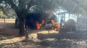 Una oficina y un vehículo quemado: la Policía investiga daños causados por una turba en el retén de Boyuibe
