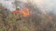 Senamhi reporta 805 focos de calor en el país