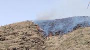 Defensor del Pueblo advierte que los incendios forestales se convirtieron en un problema estructural que vulnera derechos