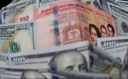 Economista: el tipo de cambio flexible transparentó la crisis de divisas, pero no resolvió el problema de fondo