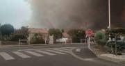 Video: Caballos huyen entre el humo para escapar del incendio forestal en Francia