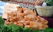 Indivisibles por el plato: la crisis del pollo probó que Bolivia funciona como un solo sistema de complementariedad