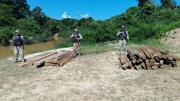 BASE NAVAL COBIJA INTERCEPTA CARGAMENTO ILEGAL DE MADERA EN EL RÍO ABUNÁ VALUADO EN MÁS DE BS 16.000