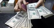 “Una cosa es tener un tipo de cambio flexible y otra dejar al dólar subir por las escaleras”, advierte economista
